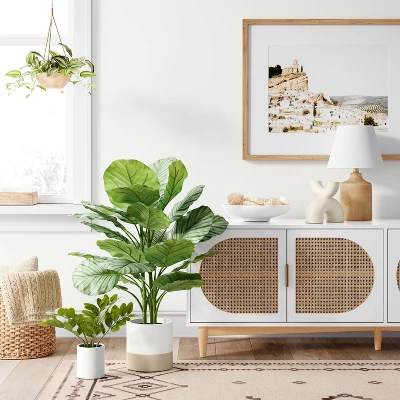 Small ZZ Plant - Threshold™ 3 Small ZZ Plant - Threshold™