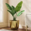 Large Brass Planter - Threshold™ -Wayfair Store GUEST 38ac303d 0cee 4acf b88f 3a0a3ffa6ebf