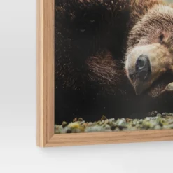 20" X 16" Bear Photography Framed Art Brown - Threshold™ 7 20" X 16" Bear Photography Framed Art Brown - Threshold™ -Wayfair Store GUEST 8d29808a 8d0a 4121 a8c8 64d15cc45658