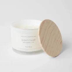 Wood Lidded Glass Wellness Grateful Candle - Threshold™ 7 Wood Lidded Glass Wellness Grateful Candle - Threshold™ -Wayfair Store GUEST 92fef43e c66e 499f 9032 1d01d9f7ca49